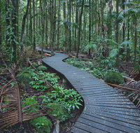 The Channon Protesters Falls Nimbin and Mount Nardi - Accommodation Mooloolaba