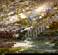 Wendy Whiteley's Secret Garden - Accommodation Mooloolaba