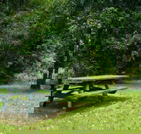 Williams River picnic area - Accommodation Mooloolaba