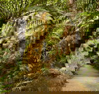 William Ricketts Sanctuary - Accommodation Mooloolaba