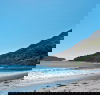 Yacaaba Headland Walking Track - Accommodation Mooloolaba