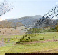 Banimboola Creek Rest Area - Accommodation Mooloolaba