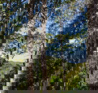 Basin Loop Track - Accommodation Mooloolaba