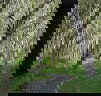 Boondall - Accommodation Mooloolaba