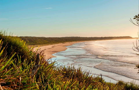 Burrawang Track - Conjola Beach To Buckleys Point - Accommodation Mooloolaba 0