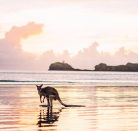 Cape Hillsborough  A Low Tide Fishing Adventure - Accommodation Mooloolaba