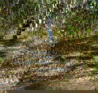 Cliff Face track - Accommodation Mooloolaba