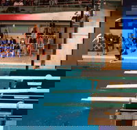 Dive Into History at Sydney Olympic Park Aquatic Centre - Accommodation Mooloolaba