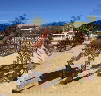 Gundersen Reserve - Accommodation Mooloolaba