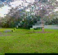 Haynes Flat picnic area - Accommodation Mooloolaba