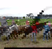 High Country Trail Rides - Accommodation Mooloolaba