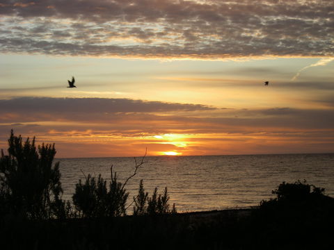 James Well - Accommodation Mooloolaba 0