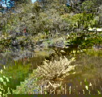 Kurth Kiln Regional Park - Accommodation Mooloolaba