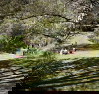 Leura Cascades picnic area - Accommodation Mooloolaba