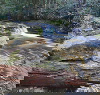 Liffey Falls Reserve - Accommodation Mooloolaba