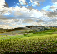 Lions Park Hodgson Vale - Accommodation Mooloolaba