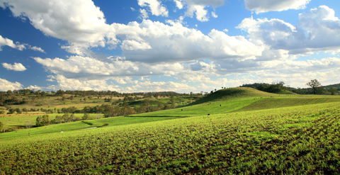 Lions Park, Hodgson Vale - Accommodation Mooloolaba 0