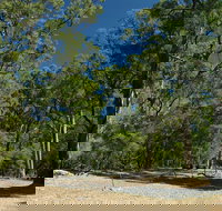 Maidens Tuart Forest - Accommodation Mooloolaba