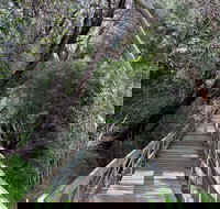 Mulwaree River Walkway - Accommodation Mooloolaba