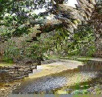 Saltwater National Park - Accommodation Mooloolaba