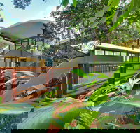 Sea Acres Rainforest Centre - Accommodation Mooloolaba