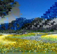 Shearer's Way - Accommodation Mooloolaba