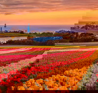 Table Cape - Accommodation Mooloolaba