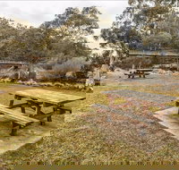 Thredbo River picnic area - Accommodation Mooloolaba