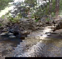 Threlfall Walking Track - Accommodation Mooloolaba