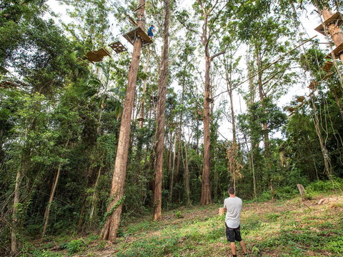 TreeTop Challenge - Sunshine Coast - Accommodation Mooloolaba 1