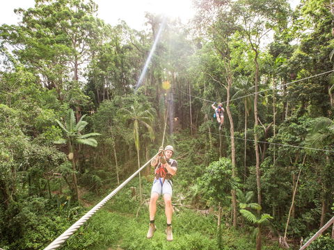 TreeTop Challenge - Sunshine Coast - Accommodation Mooloolaba 2