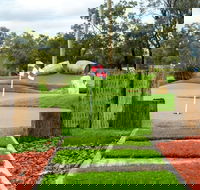 Vines Mini Golf - Accommodation Mooloolaba