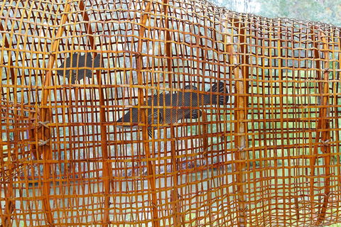 Wagirra Trail And Yindyamarra Sculpture Walk - Accommodation Mooloolaba 2