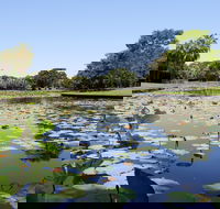Anderson Park Botanic Gardens - Accommodation Mooloolaba