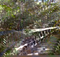 Awaba Bay Foreshore Walk - Accommodation Mooloolaba