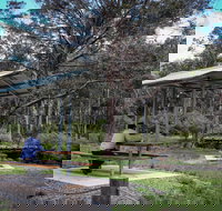 Barrington Tops State Forest - Accommodation Mooloolaba