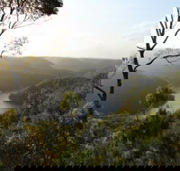 Berowra Valley National Park - Accommodation Mooloolaba