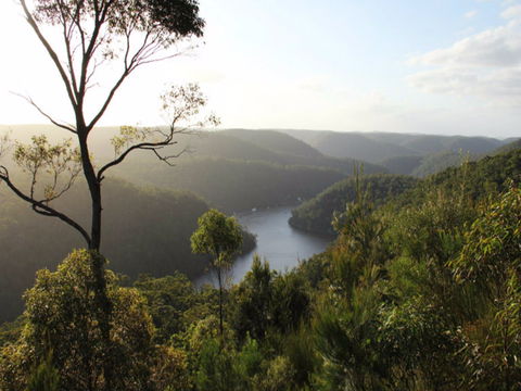 Berowra Valley National Park - Accommodation Mooloolaba 0