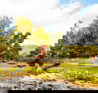 Bright - Accommodation Mooloolaba