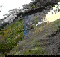 Bundidgerry Walking Track - Accommodation Mooloolaba