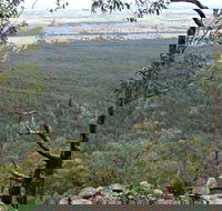 Burrabadine Walking Track - Accommodation Mooloolaba