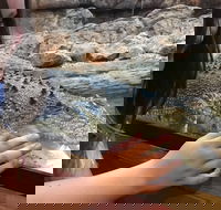 Canberra Reptile Zoo - Accommodation Mooloolaba