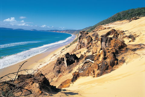 Cooloola, Great Sandy National Park - Accommodation Mooloolaba 0