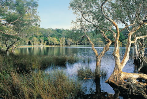 Cooloola, Great Sandy National Park - Accommodation Mooloolaba 1