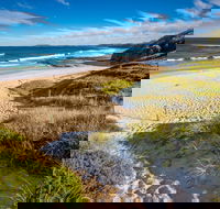 Coomee Nulunga Beach - Accommodation Mooloolaba