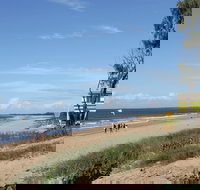 Coral Coast Pathways Moore Park Beach Section - Accommodation Mooloolaba