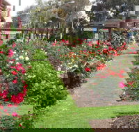 Cowra Rose Garden - Accommodation Mooloolaba