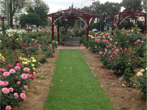 Cowra Rose Garden - Accommodation Mooloolaba 1