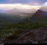 Cunninghams Gap and Spicers Gap Main Range National Park - Accommodation Mooloolaba