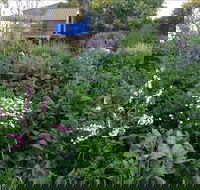 Down to Earth Permaculture - Accommodation Mooloolaba